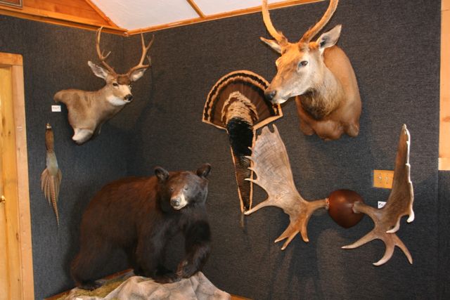 Various Mounts